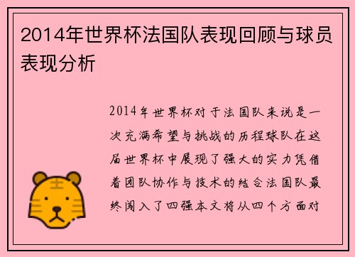 2014年世界杯法国队表现回顾与球员表现分析